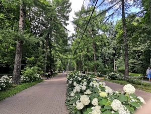 Патриаршие пруды