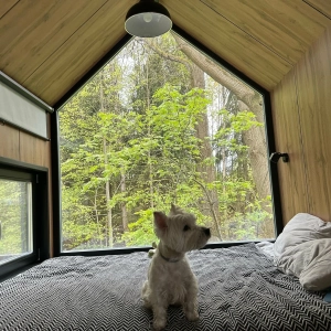 Domingo Dacha