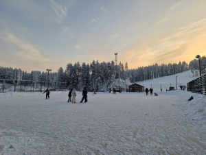 Пухтолова гора