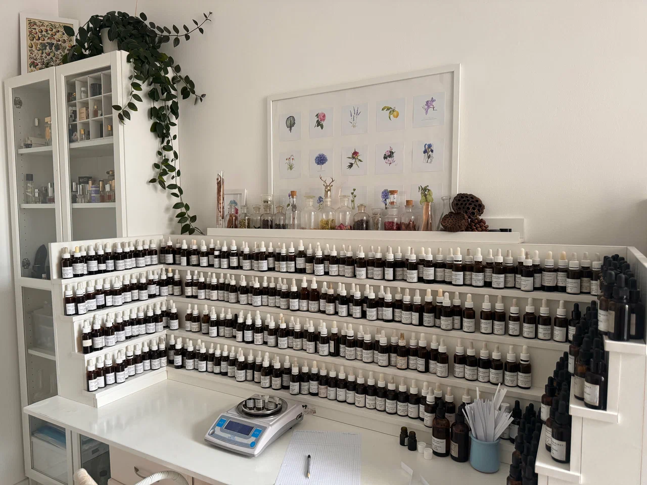 Perfume project
