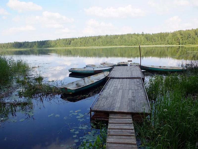 База отдыха Оредеж